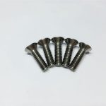 M3,M6 titanium screw flat head socket head cap titanium flange screws for spinal surgery
