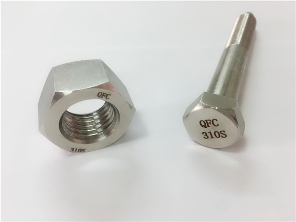 china screw and nut ss310s